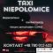 TAXI NIEPOOMICE ROBERT MIKOAJCZUK