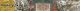 AWERSO – SKUP MONET KOLEKCJONERSKICH