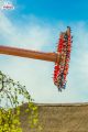 PARK ROZRYWKI ENERGYLANDIA- DZIE DZIECKA PRZEZ CA