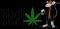 OLEJKI CBD W SKLEPIE INTERNETOWYM